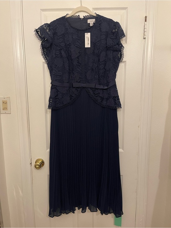 coast Dresses & Skirts - Coast Navy Lace & Pleated Midi Dress with Waist Ribbon